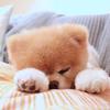 超人归来