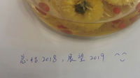 年度总结：喜忧参半的2018，一家团圆的2019~