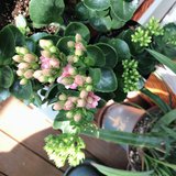 小柒每周复盘4.22-4.28