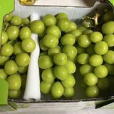 你敢信，18块钱一箱的阳光玫瑰