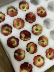 夏季水果的盛宴