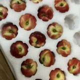 夏季水果的盛宴