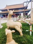 提醒幸福