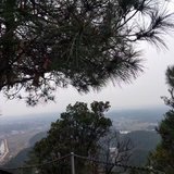 没有