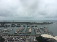 日照赶海两日游——文末有彩蛋