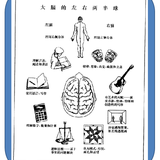 第17期分享：内向者优势（九）