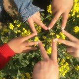 春天到了