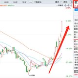 没想到，教育ETF都有涨停的一天
