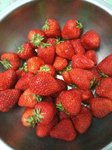 吃草莓🍓啦