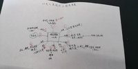 一首恐怖的童谣——《无人生还》读书笔记