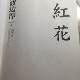 话题#每天阅读半小时，11月