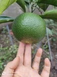 打卡第一天