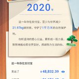 2020账单