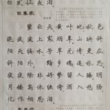 练字&学宋词