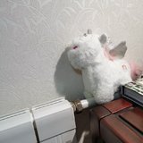 九月就彻底好起来吧～
