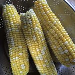 Day25，玉米🌽对付一餐