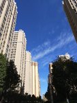 如果没有疫情一切都很美好