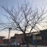 Day5 镜头下的家乡