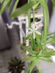 欲望越少就越幸福