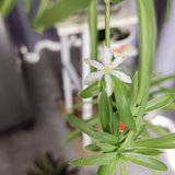 欲望越少就越幸福