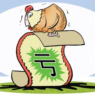 你养过瘟鸡没，是杀还是留？