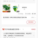 薅两盆绿萝