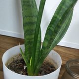 3月，再见！