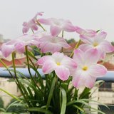8月，再见