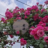 2025.5.1  大小皆欢的一天