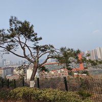 2025.2.23 公園登山和放風(fēng)箏