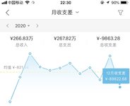 2020年消费总结，收入266.83，支出267.82万元