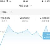 2020年消费总结，收入266.83，支出267.82万元