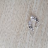 耳环