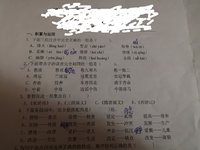 除了读书，孩子们的世界还应有星辰大海