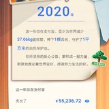 我的2020支付宝年度账单：自己花的不多～