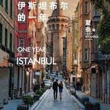 《伊斯坦布尔的一年》：愿你大胆的去过想要的人生
