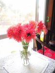 1月25日：大年初一微信拜年