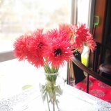 1月25日：大年初一微信拜年