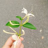 7月再见