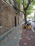 11月，再见
