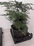 撒花！老目标又有3期达标了