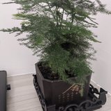 撒花！老目标又有3期达标了