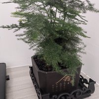撒花！老目标又有3期达标了