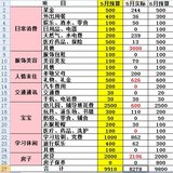 5月支出&6月预算