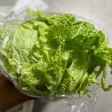 1.5元一棵的新鲜白菜