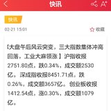 【每日基金播报】2-21，指数冲高回落～绿肥红瘦～～