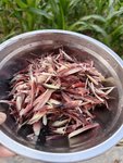 你敢信，就这20元一斤