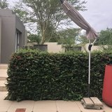 假期开启