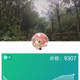 打卡6.5