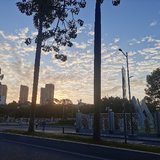 11月，再见！